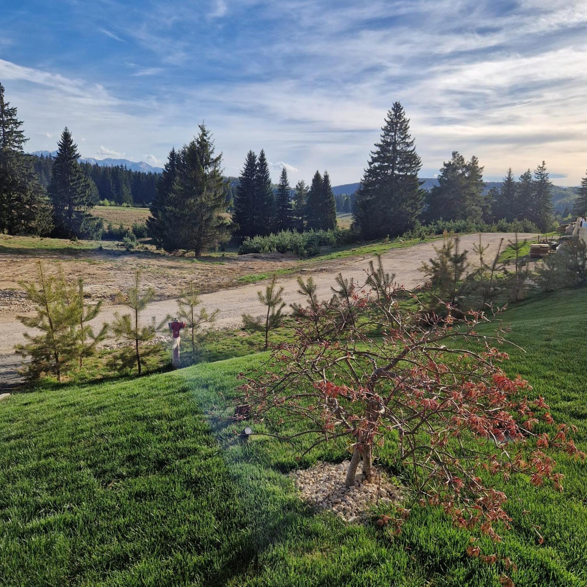Albert Residence Aparthotel Grand Chalet With Free Spa Access To Alpin Resort Poiana Brasov Luaran gambar